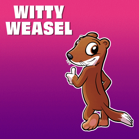 GIF by VeeFriends
