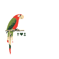 blutsgeschwister summer heat summertime parrot Sticker
