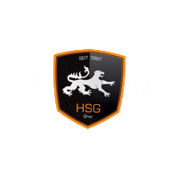 Sport Handball Sticker by HSG Graz