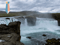 Hairfree Institute Fuer Haarentf GIF by FranchiseONE.de
