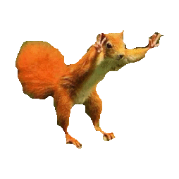 squirrel STICKER by imoji