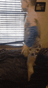 Fail Falling Down GIF by AFV Epic Fails