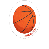 Basketball Ball Sticker by NAIG2023
