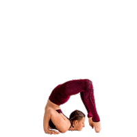 Contortion Sticker by ShellyFLEX