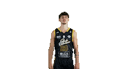 Basket Leray Sticker by Stade Rochelais