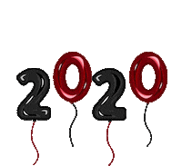 Party Celebrate Sticker by University of South Carolina