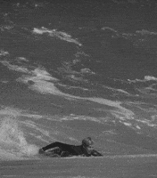 North Shore Surf GIF by FLORENCE