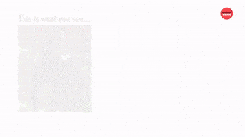 All About Perspective