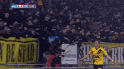 GIF by FOX Sports