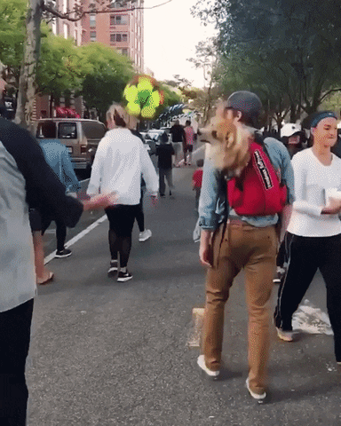 moethantkyaw giphyupload GIF