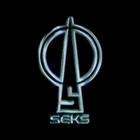 seks_llc seks GIF