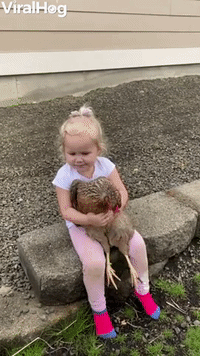 Child With Her Chickens