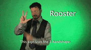 sign language rooster GIF by Sign with Robert