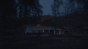 Home Happier GIF by Bed Bath & Beyond