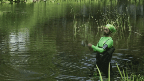 internet GIF