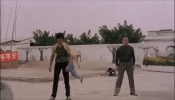 kung fu GIF