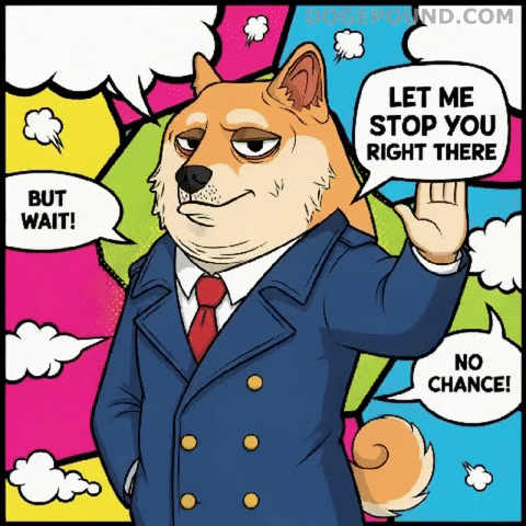 Shiba Inu No GIF by Doge Pound