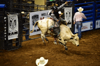 okstatefair ok cowboy oklahoma rodeo GIF