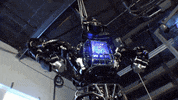 robot unveils GIF by The Verge