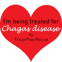 Dog Love Sticker by TracysPawsRescue
