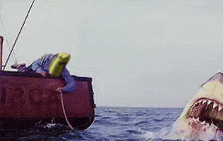 Shark Week Sea GIF by ElmonX