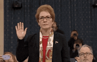 news impeachment impeachment inquiry impeachment hearings day two marie yovanovitch GIF