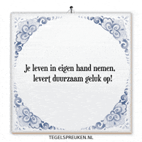 Humor Nl GIF by Tegelspreuken.nl