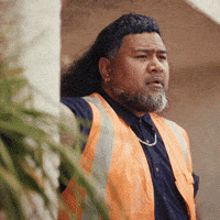New Zealand GIF by Southern Cross NZ
