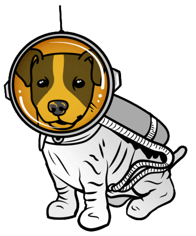 Sebeboekhouders giphyupload dog space hond Sticker