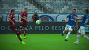 chapeu evertonribeiro GIF by Flamengo