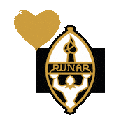 Rema1000Ligaen Runar Sticker by Norsk Topphåndball