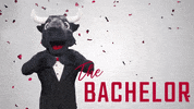 The Bachelor Flowers GIF by Houston Texans