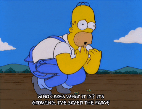 Happy Episode 5 GIF by The Simpsons