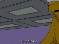homer simpson GIF