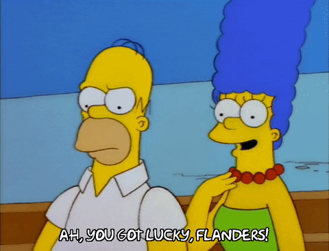 homer simpson episode 6 GIF