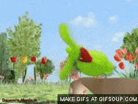 pepe GIF