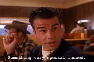 season 2 episode 3 GIF by Twin Peaks on Showtime