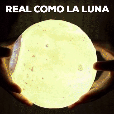 mauriciocorzo534a giphygifmaker GIF