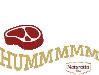 maturattafriboi bbq grill beef carne Sticker