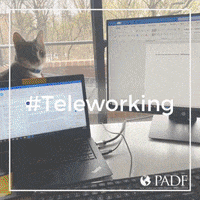 PADForg  GIF
