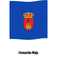 Bandera GIF by Formación Ninja