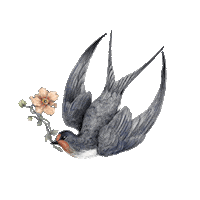 Art Illustration Sticker