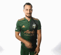 Portland Timbers Soccer GIF by Timbers