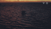 Deep Sea Night GIF by Monterey Bay Aquarium