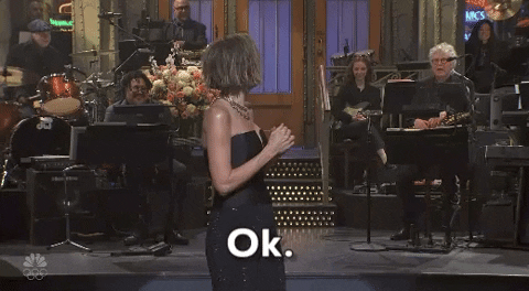 Kristen Wiig Ok GIF by Saturday Night Live