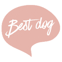 Best Dog Pink Quote Sticker by Poppy + Ted