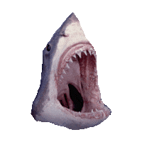 awesome shark STICKER by imoji