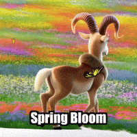 Flowers Spring GIF by Radiantelope