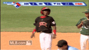 kc GIF by MLB