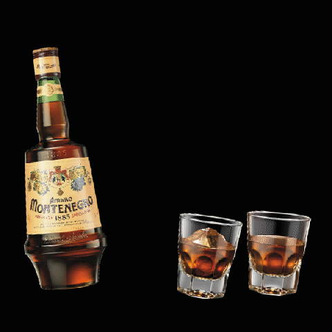 AmaroMontenegroOfficial love fun party drink GIF